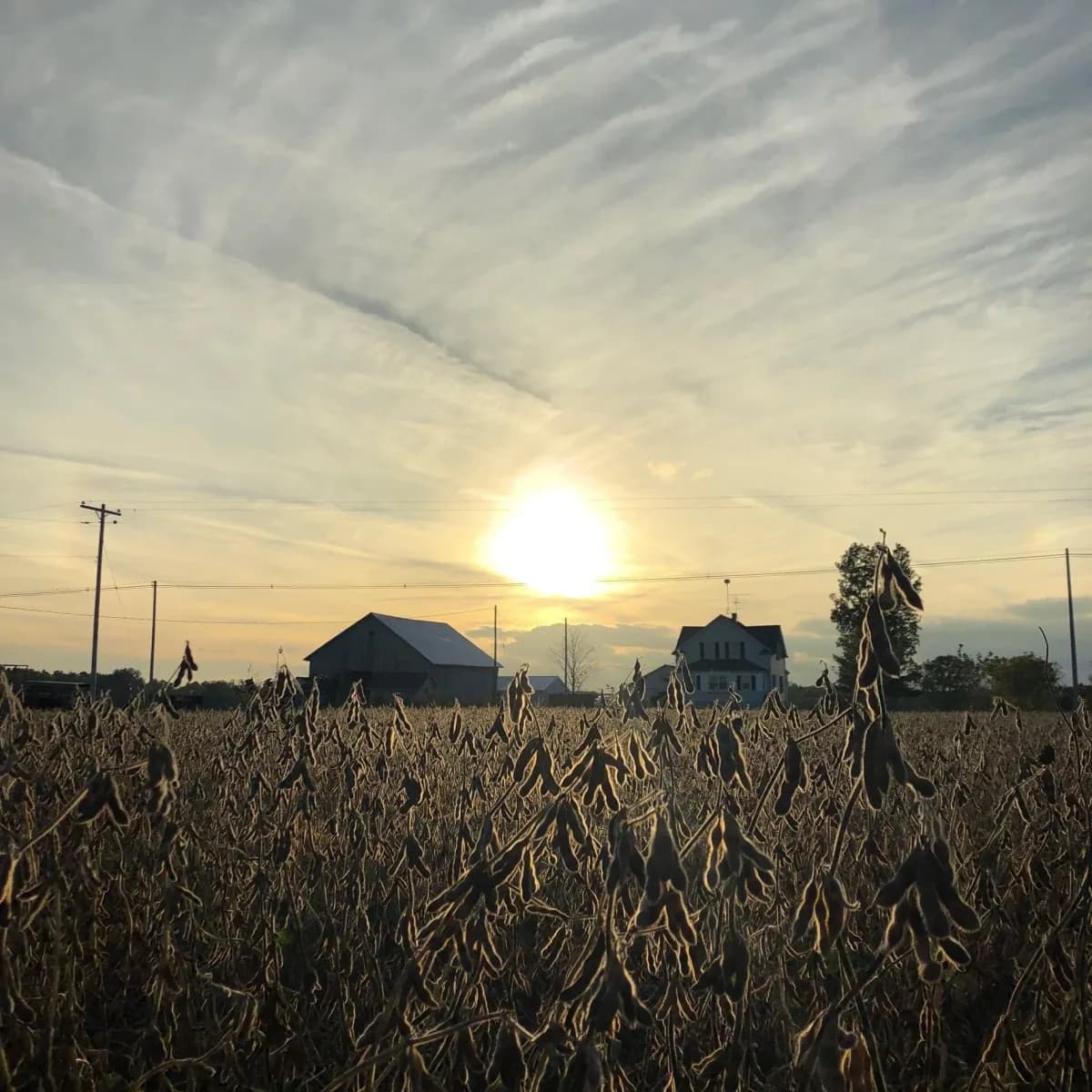 Raterink Farm